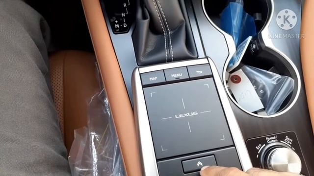 Lexus RX350 2021 First Look