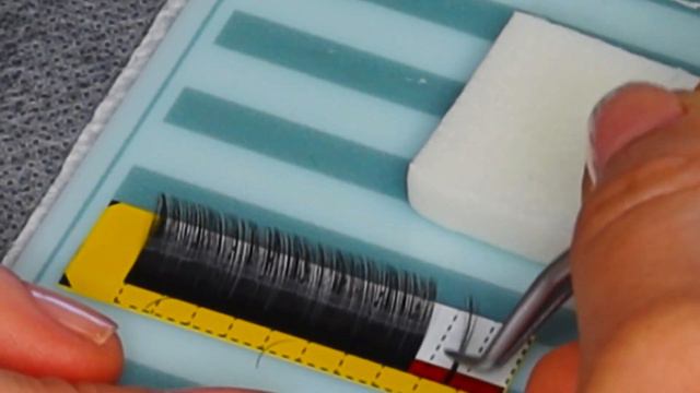 Beginners Lashing Guide Eyelash Extensions