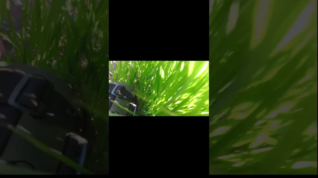 Поймал дохлого карася :-) смотреть онлайн