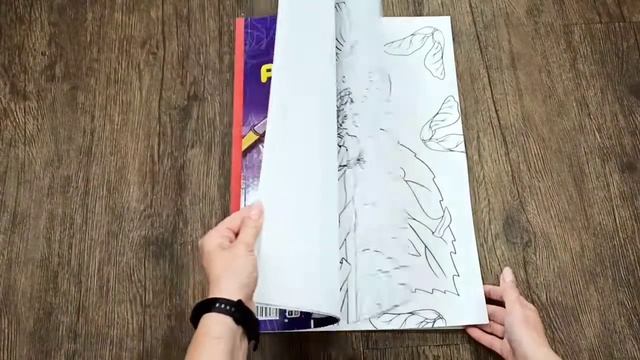 МАКСИ-РАСКРАСКА ДЛЯ ДЕВОЧЕК. ВОЛШЕБНЫЕ ФЕИ смотреть онлайн