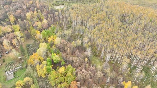 Осень в Тюменской области смотреть онлайн