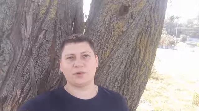 Новые правила пересечения границы с Польшей. Декларация и таможенный досмотр.