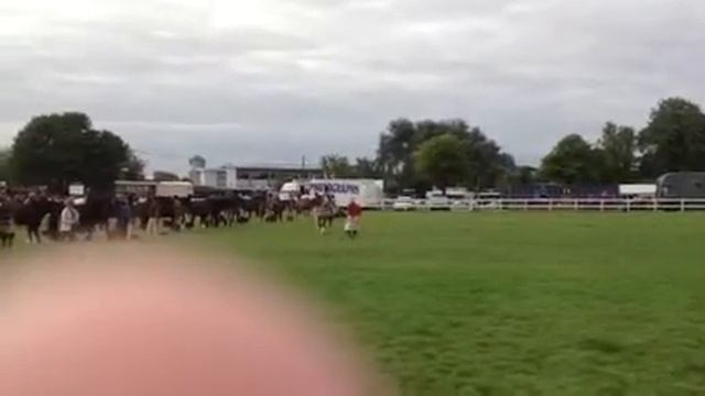 Dycott Elegant Lady and Faith смотреть онлайн