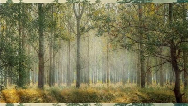 Животные для детей | учим диких животных 3 часть | название диких животных | милые животные смотреть онлайн