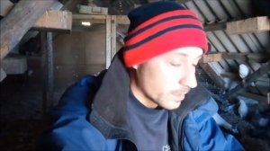 Снесли и не Сидят на Яйцах/Голуби бросают яйца и не хотят высиживать птенцов/Когда будет гон голубе