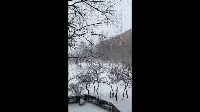 Циклон Ольга смотреть онлайн