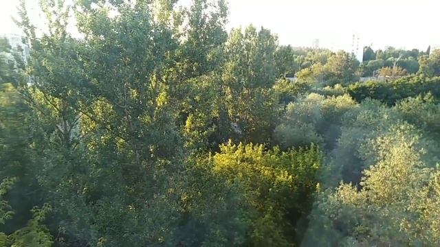 VLOG:s parfum, покупки в Пятёрочке, болталка смотреть онлайн