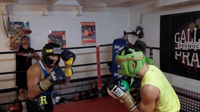 Abigail Medina, training sparring, Gallego Prada boxing club round 2 смотреть онлайн
