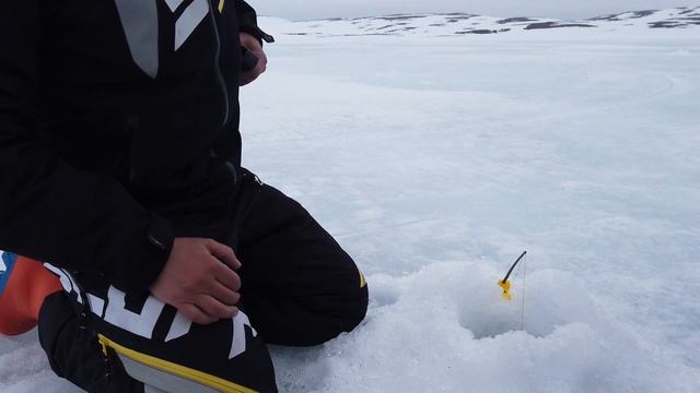 Кумжа + Голец. В тундру на снегоходах. Супер рыбалка. Реальный клев на Кольском полуострове. Часть смотреть онлайн