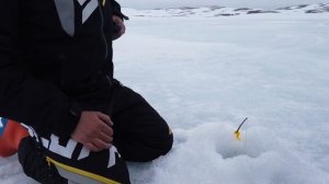 Кумжа + Голец. В тундру на снегоходах. Супер рыбалка. Реальный клев на Кольском полуострове. Часть