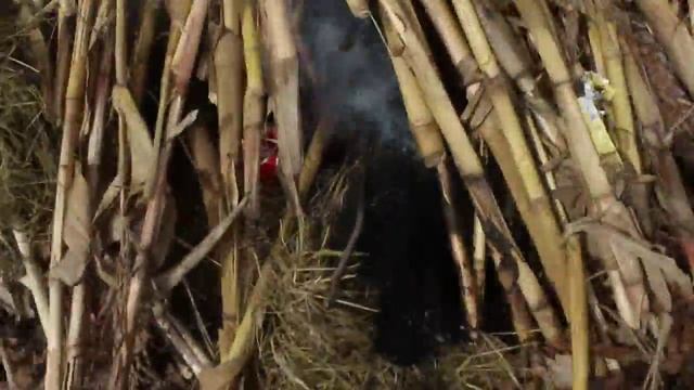 Масленица 2 марта! ст.Советская смотреть онлайн