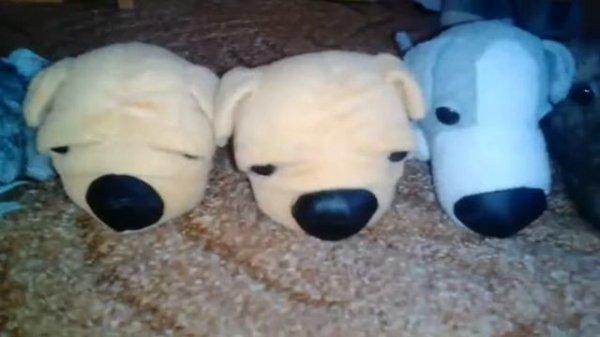 Моя коллекция the dog collection+the cat