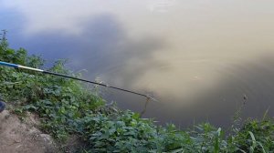 Подсекатель для донки-КНУТ  Испытание на рыбалке впечатлили