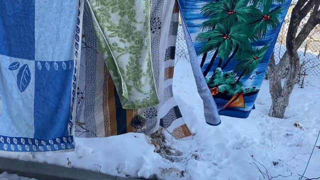 ПОСЕВ СЕМЯН.ЖИЗНЬ ПРОСТЫХ ЛЮДЕЙ В ДЕРЕВНЕ.НА ПЕНСИИ🤨 смотреть онлайн