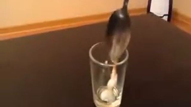 Маска для волос масло жожоба смотреть онлайн