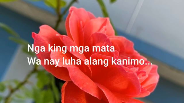 WA NAY LUHA "alang kanimo" || Song Lyrics ll Visayan Song || Cover by TJ смотреть онлайн