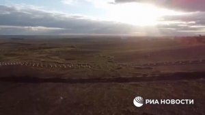 Прощание славянки