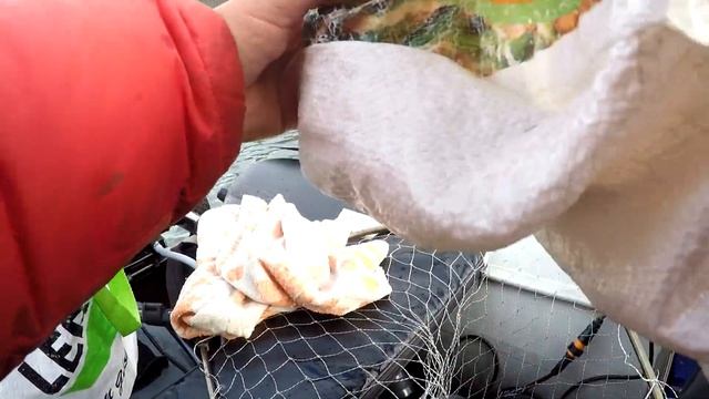 Нугуш 29.10.22. смотреть онлайн