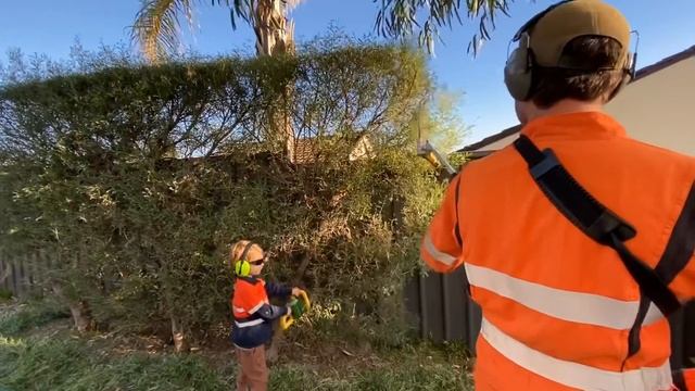 Lawn Mower Video for Kids | BLiPPi Toys | min min playtime смотреть онлайн