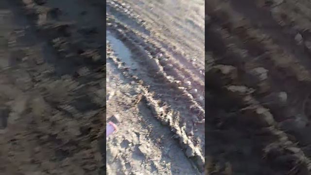 Пишите куда нам сходить смотреть онлайн