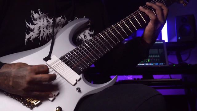 Darko US type 8 string guitar riffs смотреть онлайн