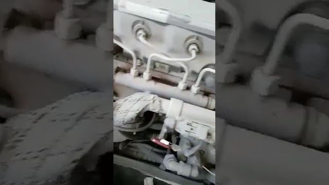 Запуск двигателя ПАЗ 4234 с двигателем Cummins. 31.03.2023 смотреть онлайн