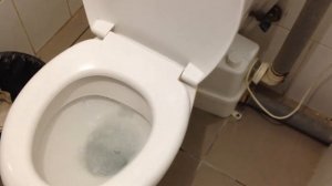 Насос измельчитель для унитаза как должен работать