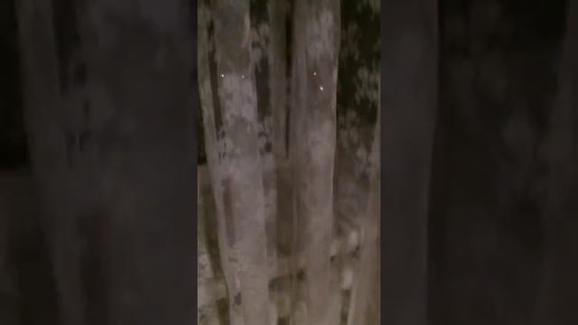 Шторы "Black out" смотреть онлайн