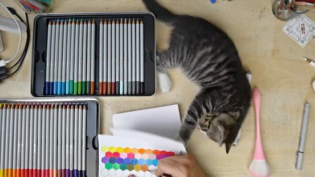 Цветные карандаши IROJITEN, Winsor&Newton, LYRA Rembrandt. Сравнение