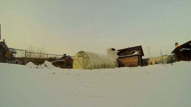 GoPro Hero3 BE test смотреть онлайн