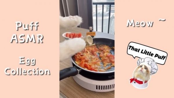 Puff Cooking Collection | That Little Puff (April 29)