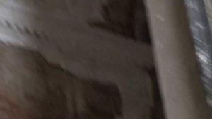 с.Салобеляк Яранского р-она Кировской обл. Троицкая церковь