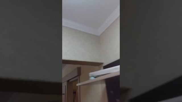 жидкие обои Караганда смотреть онлайн