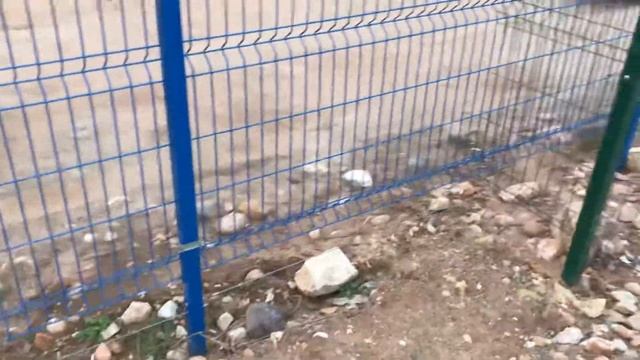 9 мая любуюсь закатом в п.Селиваново в ВЖГ ГСП-4 смотреть онлайн