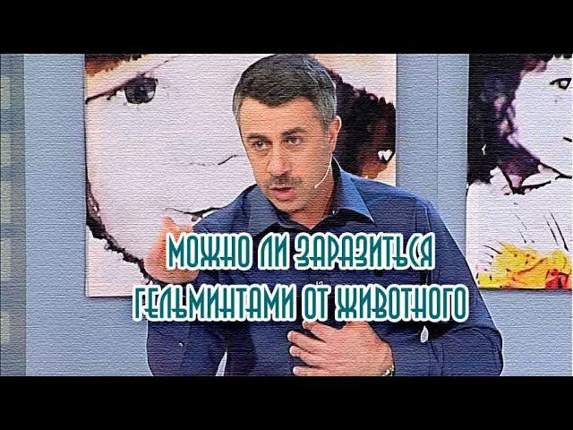 Комаровский о возможности заражения глистами от животных
