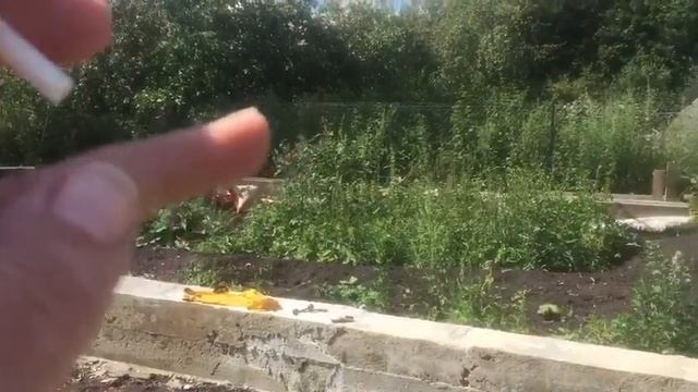 Краткий обзор - Утки, Гуси, Куры и Свиньи. Заливка фундамента продолжается смотреть онлайн