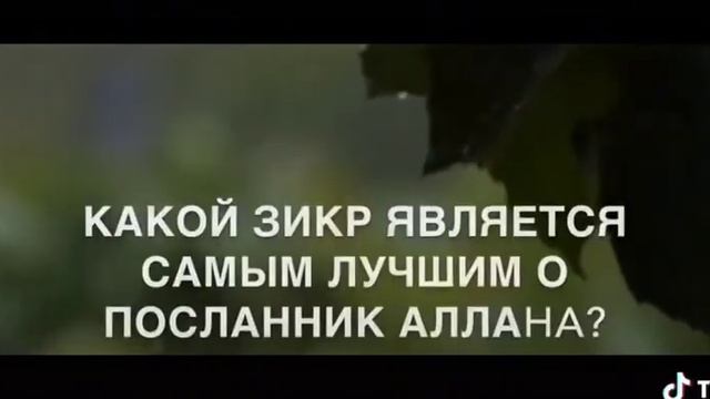 У ПРОРОКА АЛЛАХА СПРОСИЛИ... смотреть онлайн