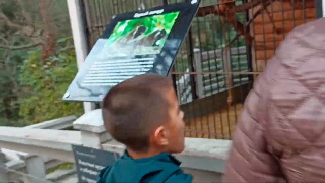 ВЛОГ/ОТДЫХ/ЯЛТА-ИНТУРИСТ/ПЛЮСЫИМИНУСЫ/4ЧАСТЬ смотреть онлайн