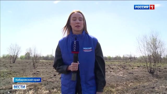 Россия 1 # Вести, Москва, 4 мая 2024
На Дальнем Востоке сложная ситуация с природными пожарами смотреть онлайн