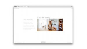 Просмотр фото на «Джино.Лендинге»