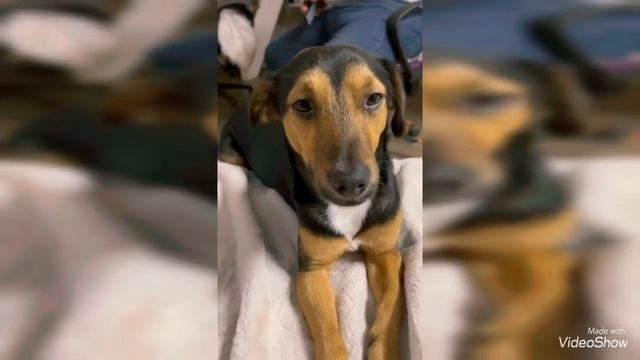 На голове появились Шишки ??Разболелась голова ?Ждём Детей Сделала компресс ?Olga Kirchgessner смотреть онлайн