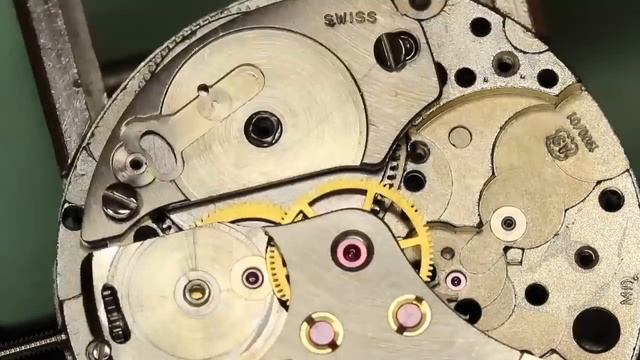 How to service a mechanical watch. Part 1. AS 1900 in a Rotary watch смотреть онлайн