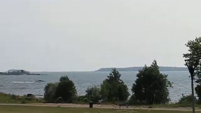 Приключения Нильса и диких гусей. смотреть онлайн