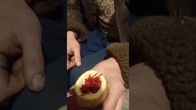 Хранение мотыля для зимней рыбалки смотреть онлайн