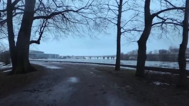 Фиаско, падение с велика. По голольду на велике в ЦПКиО смотреть онлайн
