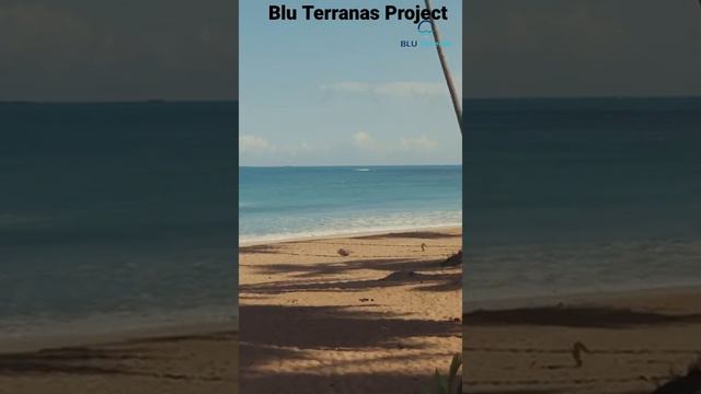Blu Terranas Real Estate 💙 смотреть онлайн