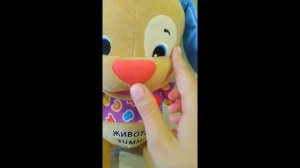 Fisher Price | Смейся и Учись Ученый Щенок
