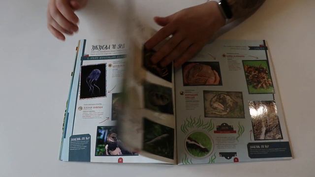Журнал с наклейками PANINI, Мир Животных Рекорды (3 часть) смотреть онлайн