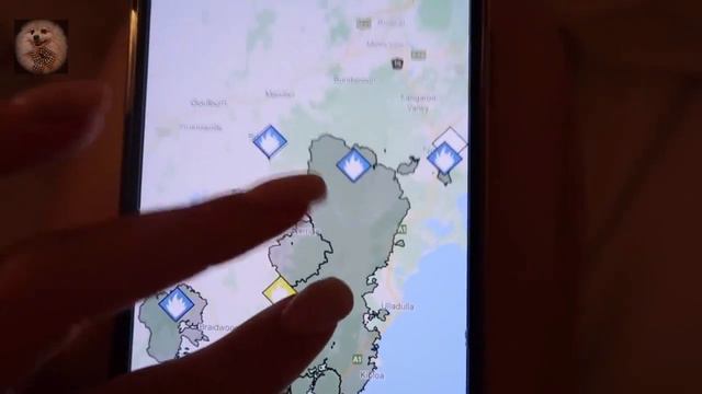 Пожары в Австралии / Проверка на человечность. смотреть онлайн