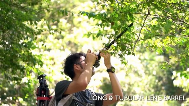 Laowa 24mm F14 макросъемка на макрообъектив (rus)